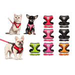 Collars And Harnesses
