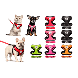Collars and harness