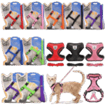 Collars And Harnesses