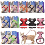Collars And Harnesses