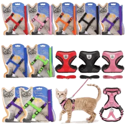 Collars and harnesss category