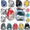 bagpack category