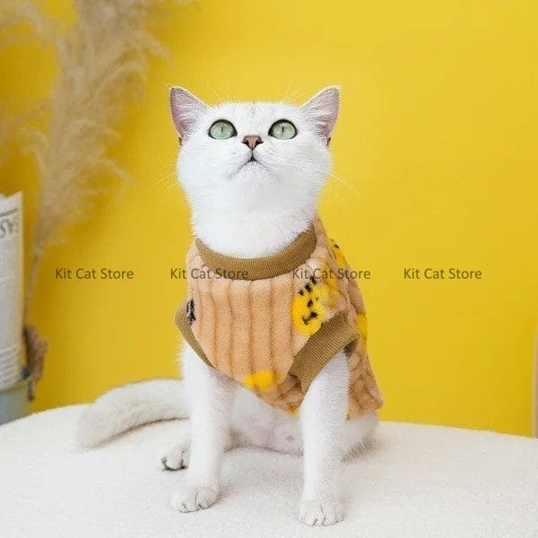 cat winter clothes