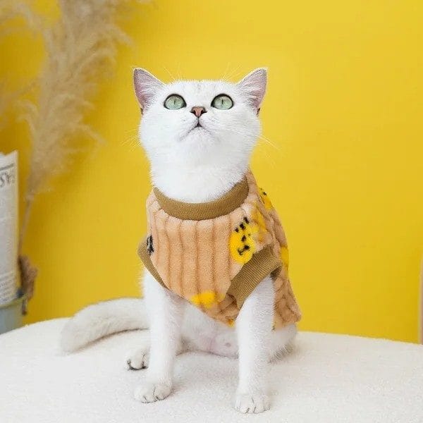 cat winter clothes