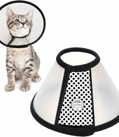 pet Elizabethan collar Bangladesh