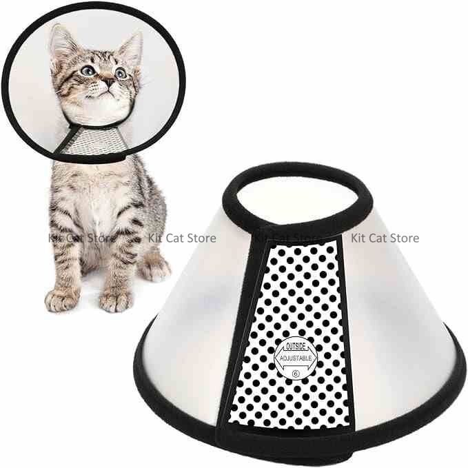 pet Elizabethan collar Bangladesh