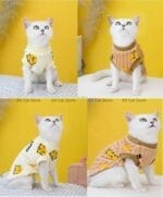 warm clothes for cats
