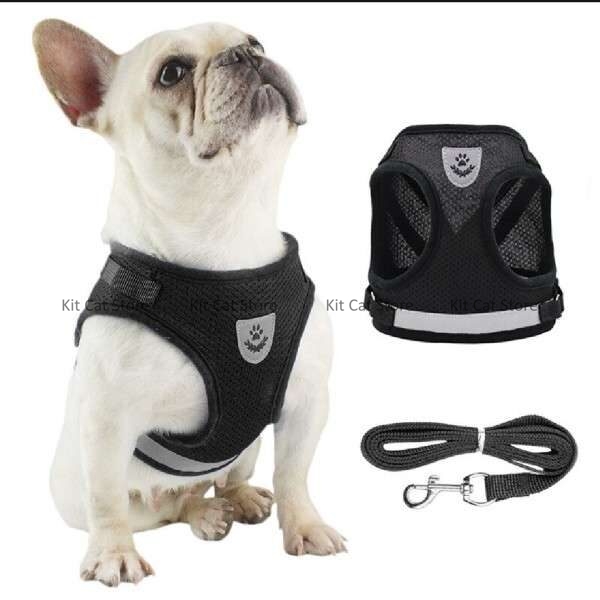 Large cat harness leash set