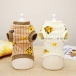 cat clothes for cold weather