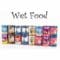wet food