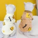 cat dog winter dress