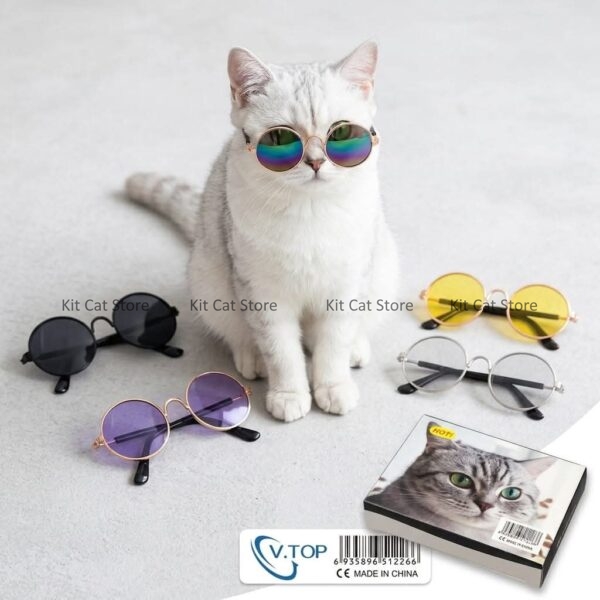 Cat Sunglass