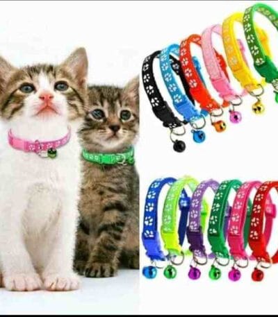 paw print cat collar bd