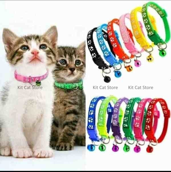 paw print cat collar bd