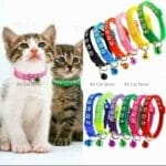 paw print cat collar bd