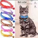 cat collar paw design bangladesh