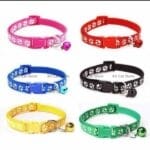cute paw print collar for cat
