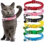 paw pattern cat neck belt bd