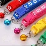 buy paw print cat collar online bd