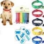adjustable paw design cat collar price